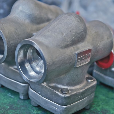 Stainless Steel Check Valve